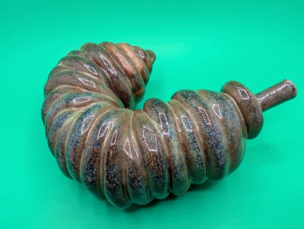 A fat maggoty worm with proboscis 