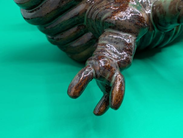 Close up of a limb of the creature