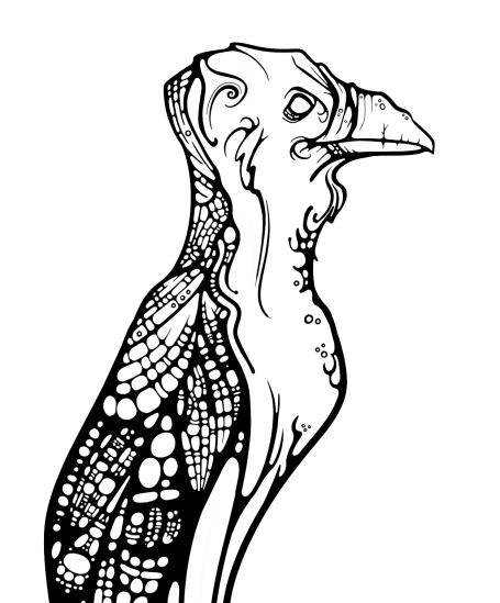 A black and white drawing of a stern supernatural crow