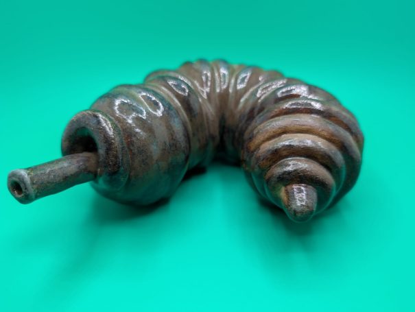 A fat maggoty worm with proboscis 
